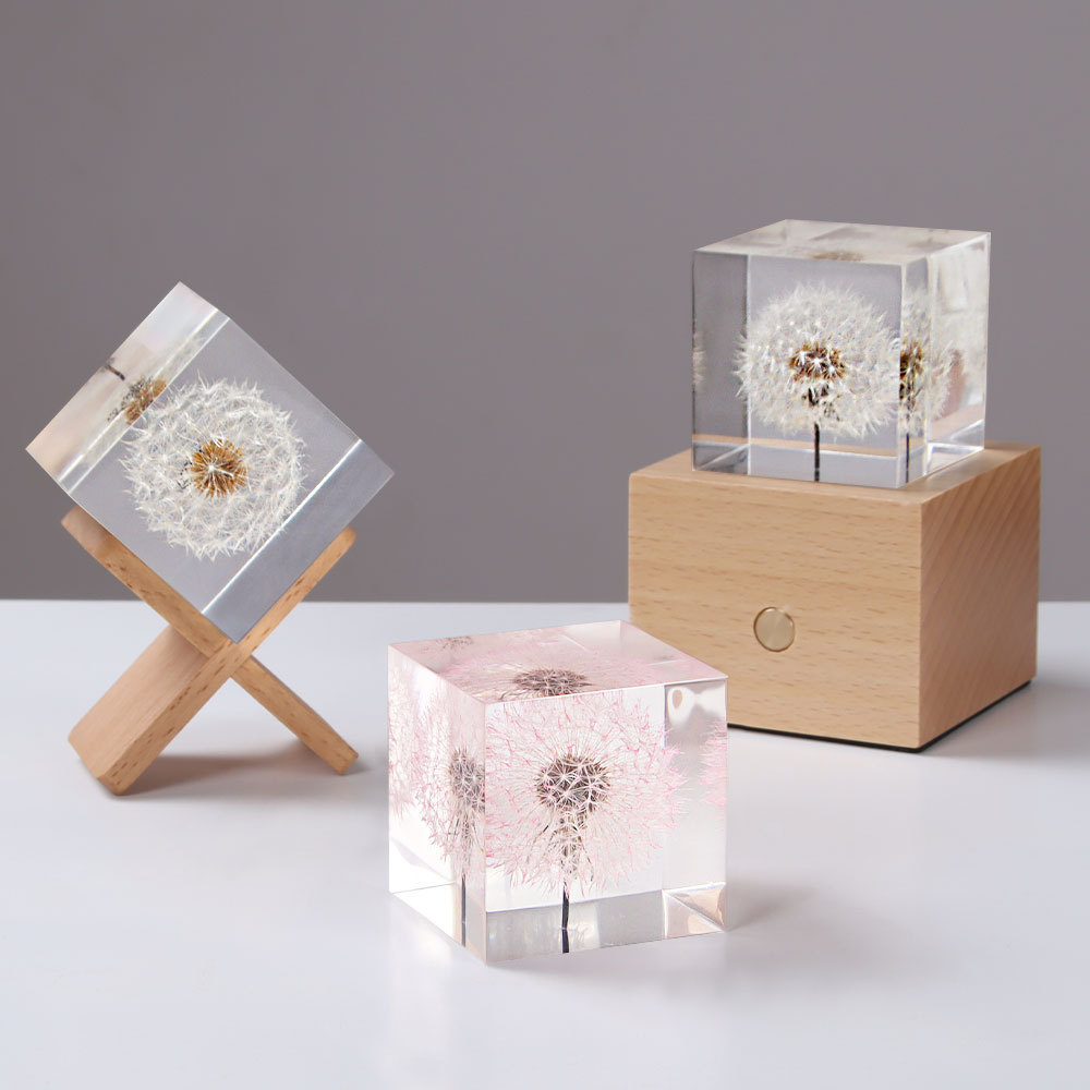 Dandelion preserved fresh flow - Flower Preservation Resin incelemesi ve fiyatı