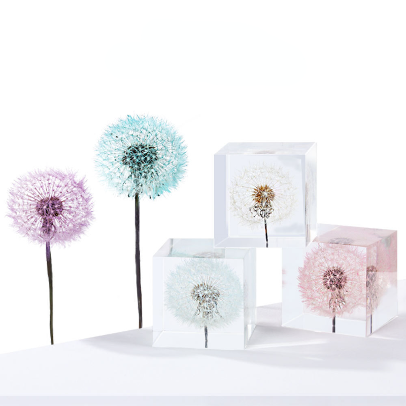 Dandelion preserved fresh flow - Flower Preservation Resin incelemesi ve fiyatı