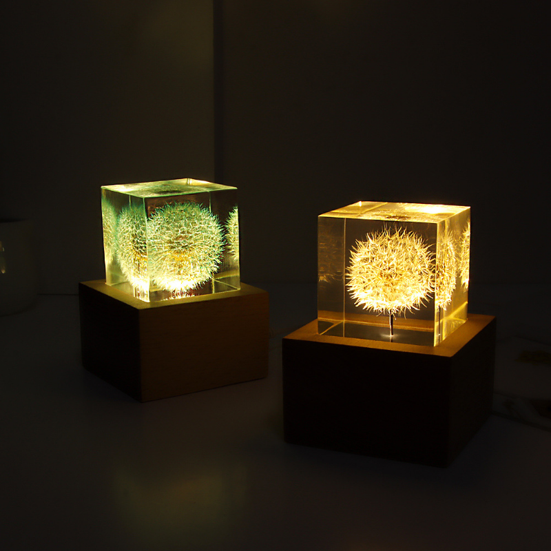 Dandelion preserved fresh flow - Flower Preservation Resin incelemesi ve fiyatı