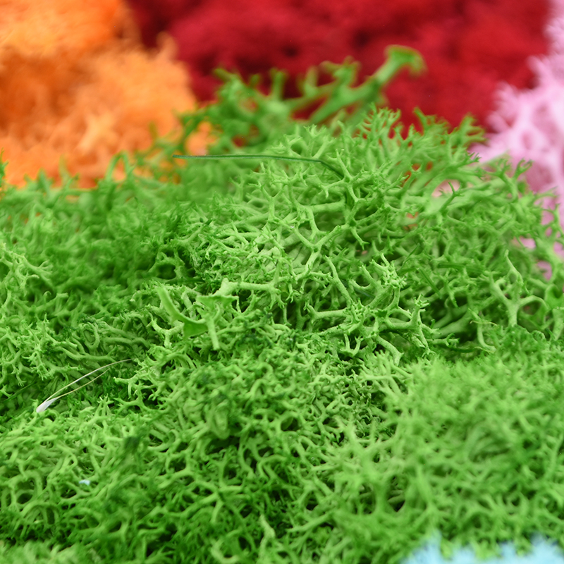 20/40g Artificial Green Plants - Terrarium Moss Art incelemesi ve fiyatı