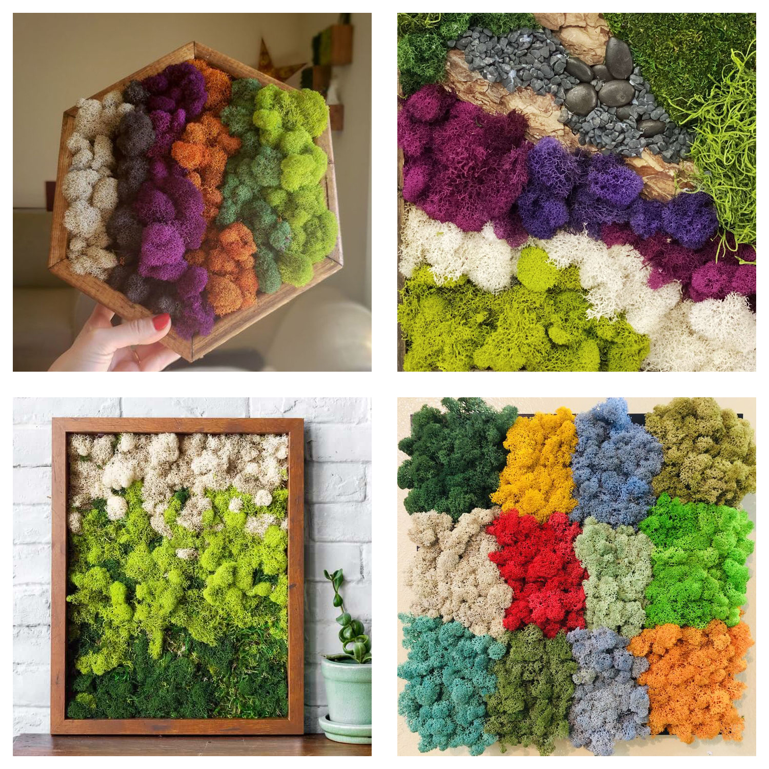 Artificial Green Plants Eterna - Terrarium Moss Art incelemesi ve fiyatı