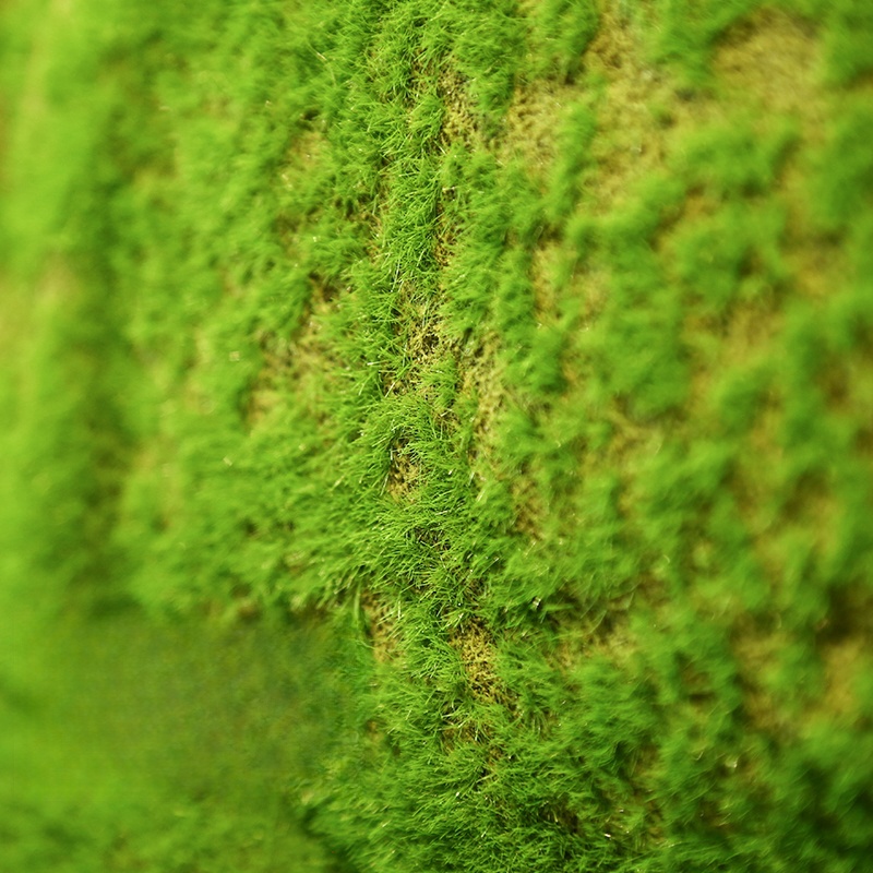 Artificial Turf Moss Grassland - Terrarium Moss Art incelemesi ve fiyatı
