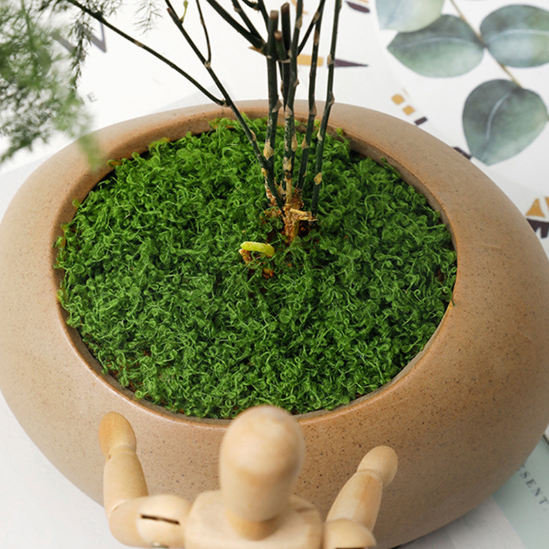 about 20g Artificial Green Pla - Terrarium Moss Art incelemesi ve fiyatı