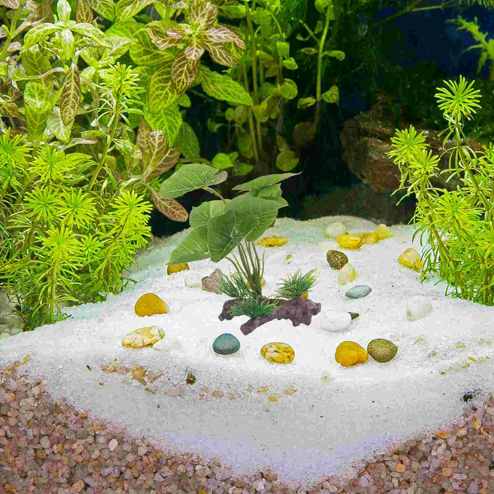 Fish Tank Artificial Water Pla - Terrarium Moss Art incelemesi ve fiyatı