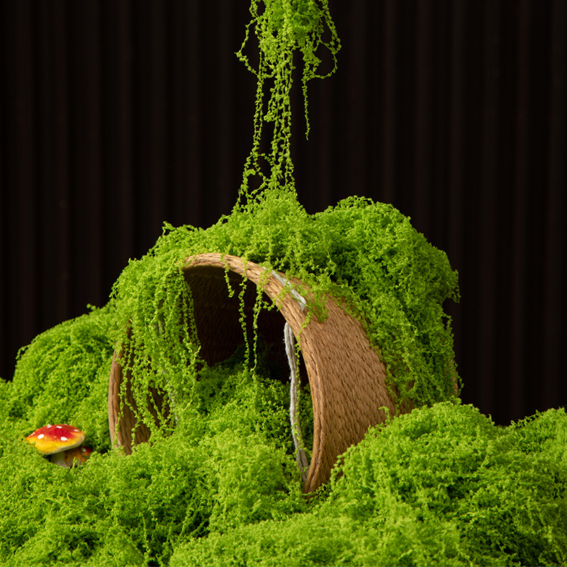 200g Eternal Life Moss DIY Cra - Terrarium Moss Art incelemesi ve fiyatı
