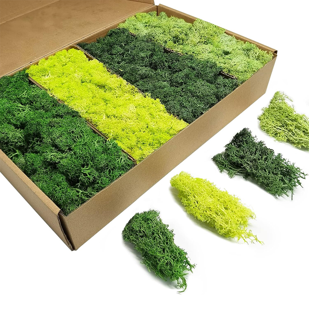 Artificial Green Plants Eterna - Terrarium Moss Art incelemesi ve fiyatı