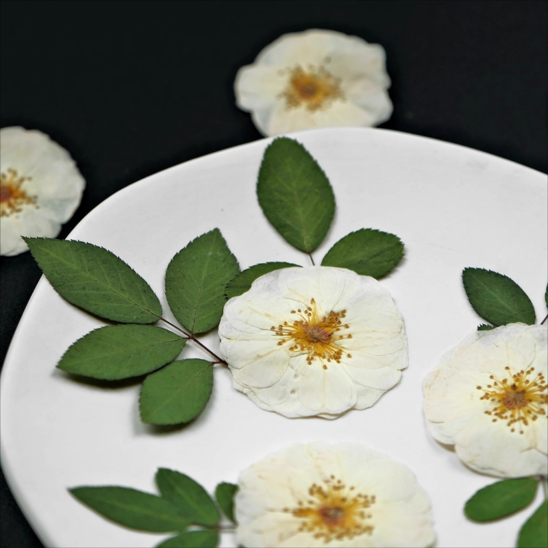 6pcs,9pcs,Nature White Rose Pr - Resin Craft Ideas incelemesi ve fiyatı