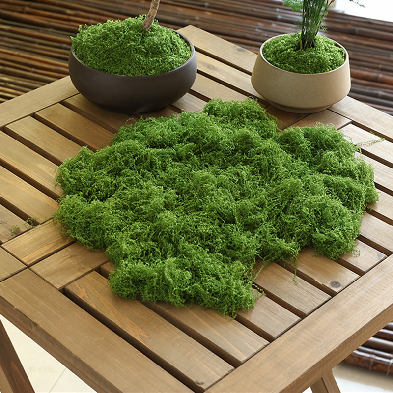 about 20g Artificial Green Pla - Terrarium Moss Art incelemesi ve fiyatı