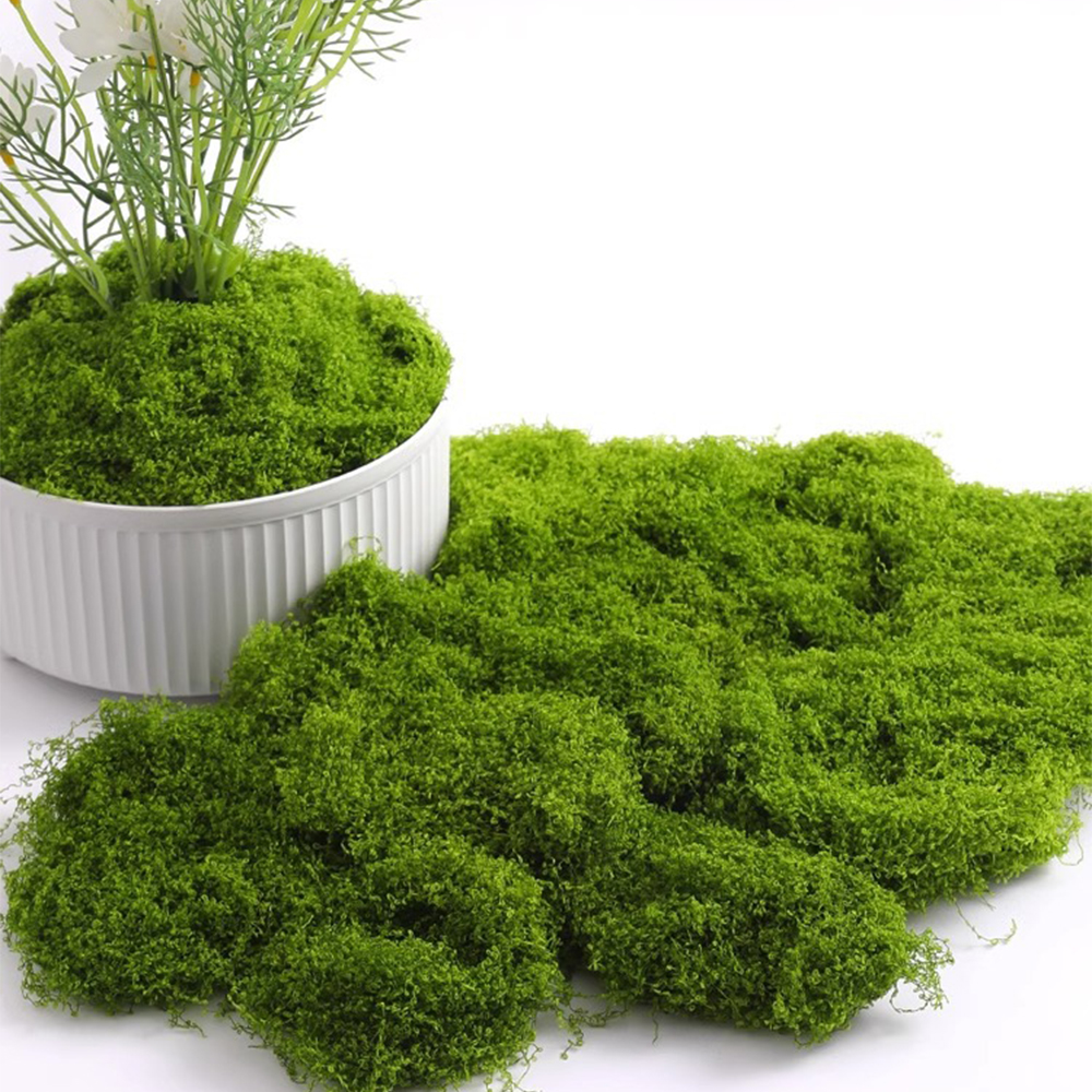 20/40/100g Eternal Life Moss D - Terrarium Moss Art incelemesi ve fiyatı