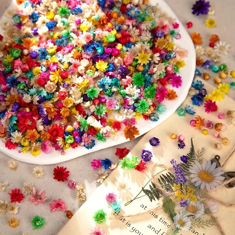 Mixed Colorful Flower for Wax  - Resin Craft Ideas incelemesi ve fiyatı