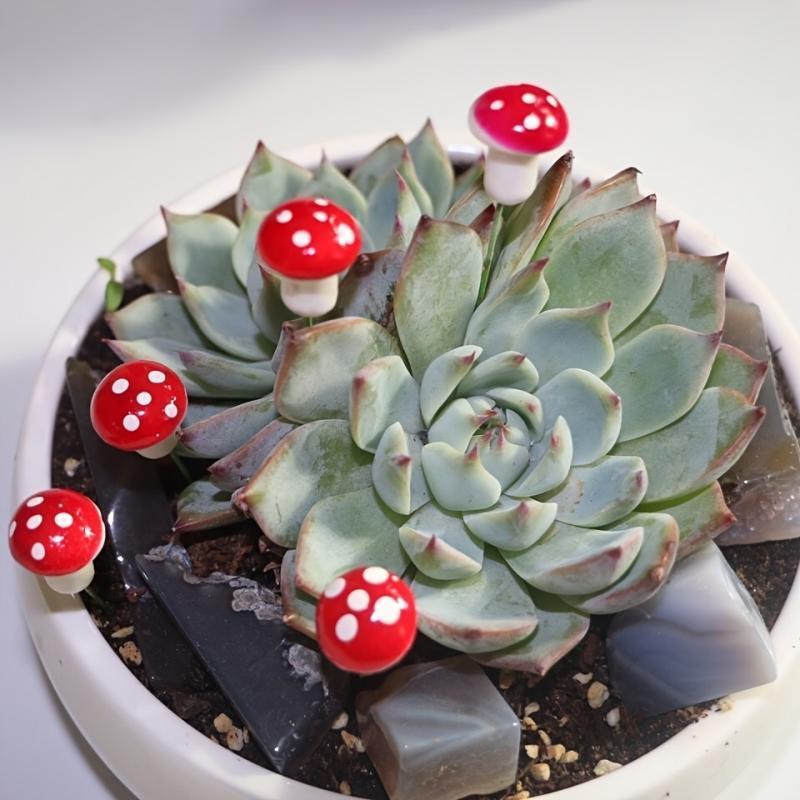 10-80PCS Mini Color Mushroom D - Terrarium Moss Art incelemesi ve fiyatı