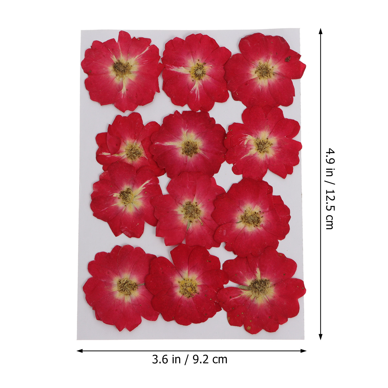 12Pcs Natural Dried Rose Press - Resin Craft Kit incelemesi ve fiyatı