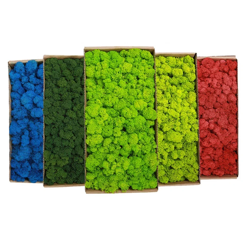 200g Artificial Green Plants M - Terrarium Moss Art incelemesi ve fiyatı