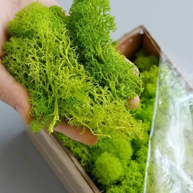 200g Artificial Green Plants M - Terrarium Moss Art incelemesi ve fiyatı