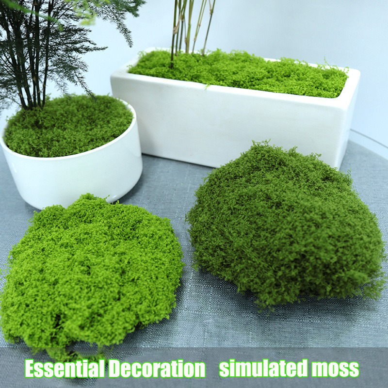 Artificial simulation of moss  - Terrarium Moss Art incelemesi ve fiyatı
