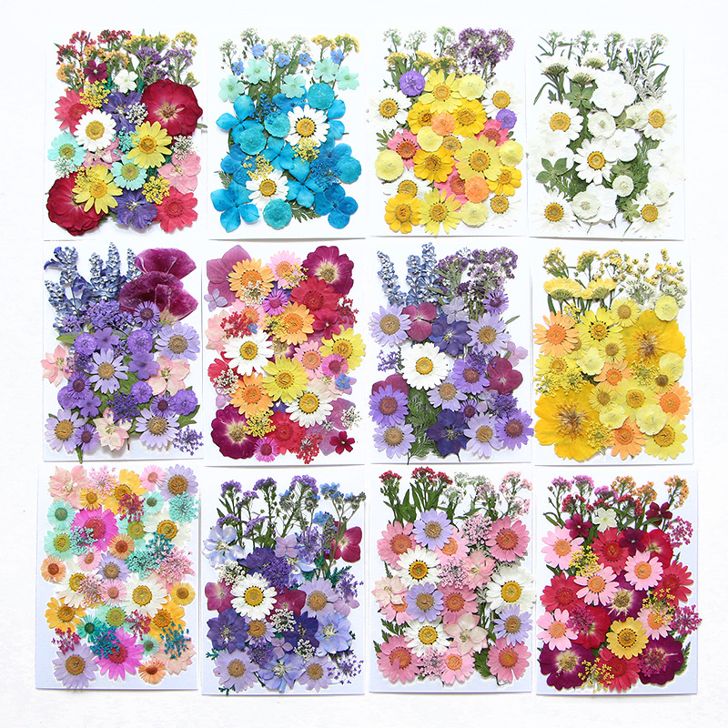 6pcsDried Flowers Real Natural - Flower Preservation Resin incelemesi ve fiyatı